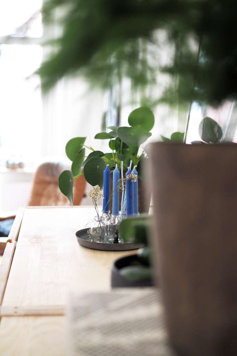 Mein Zuhause: Wohnen mit Pflanzen